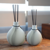 Kit Diffuseur - Vase Parfum ANAQA avec parfum d'ambiance luxueux et bâtonnets de senteur